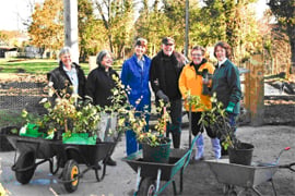 Groups invited to plant trees to celebrate Bloom launch 