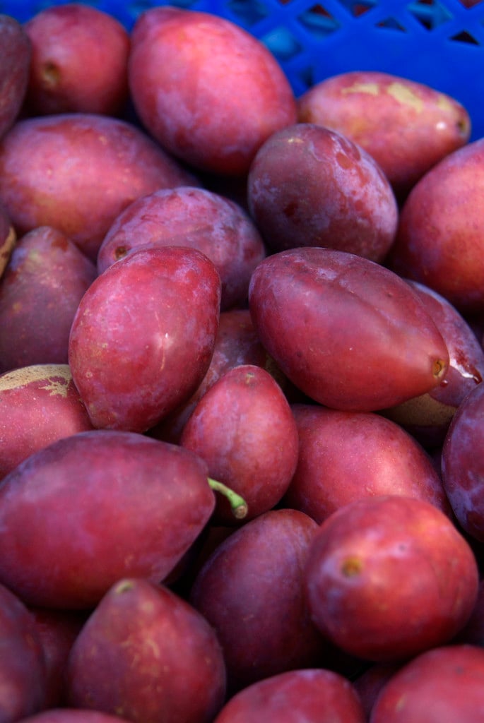 Prunus domestica (D/C) plum/RHS Gardening