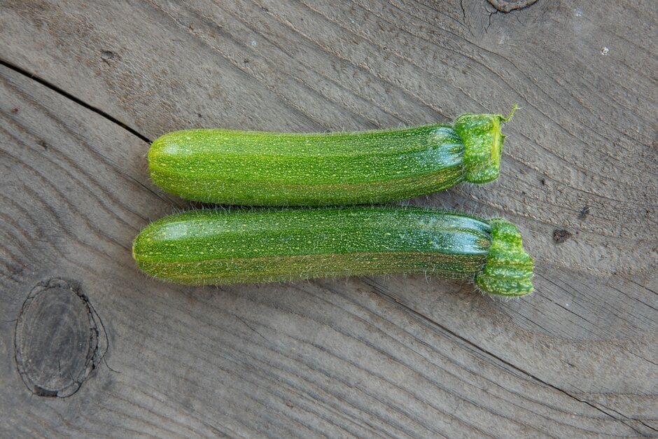 courgette 'Astia'