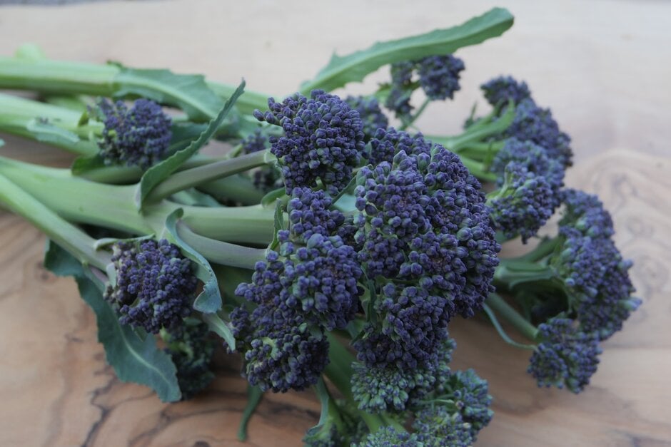 broccoli (purple sprouting) 'Rudolph'