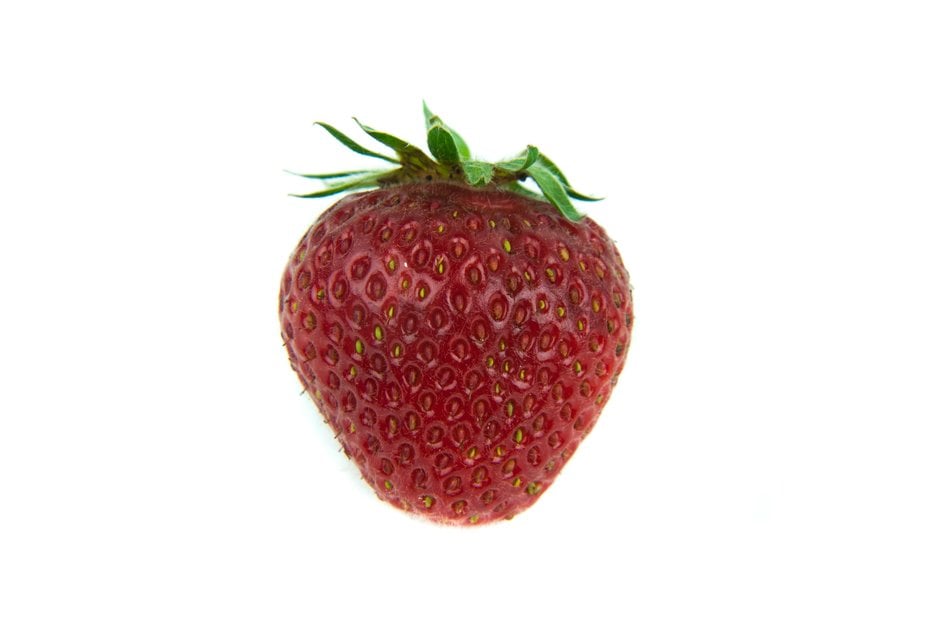strawberry 'Florence'