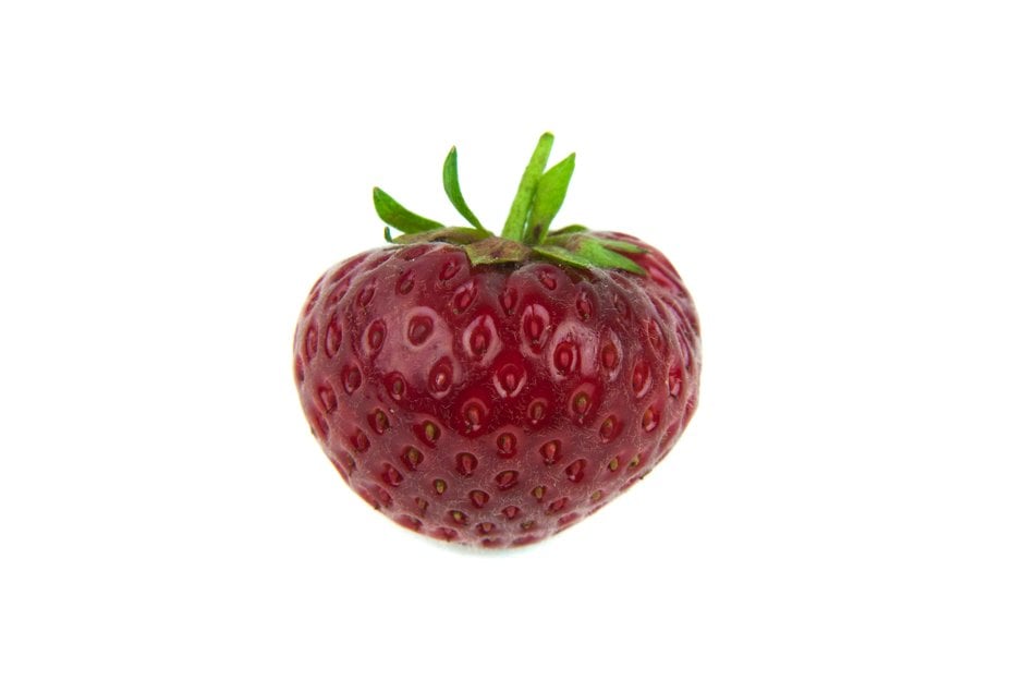 strawberry 'Finesse'