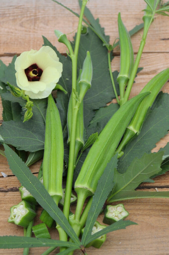 okra