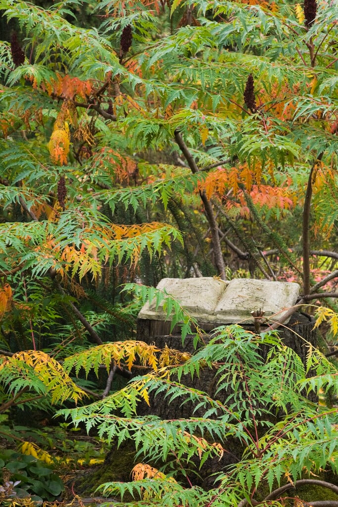 sumac Autumn Lace Group