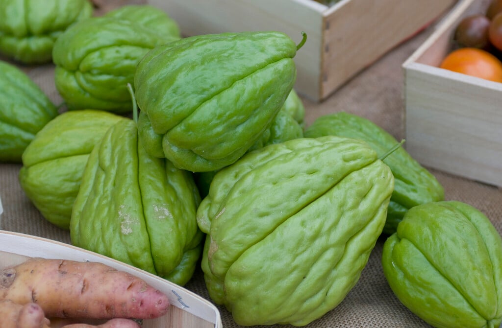 chayote