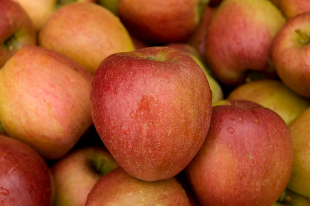 apple 'Braeburn'