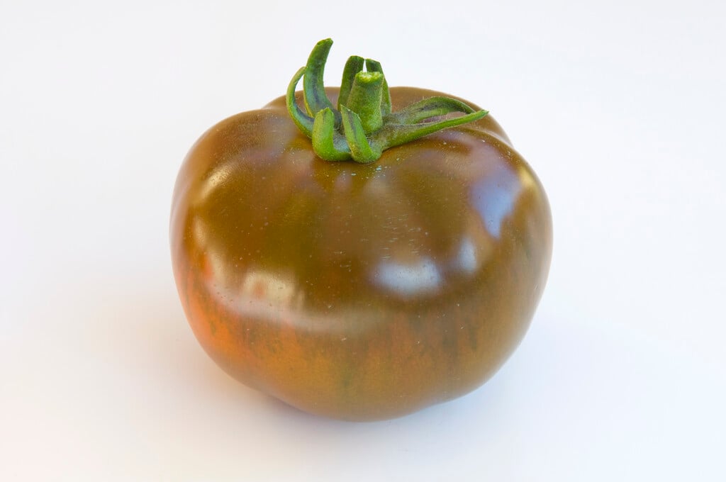tomato 'Noire de Crimée'