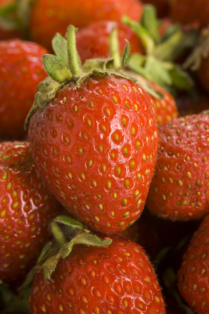 beach strawberry