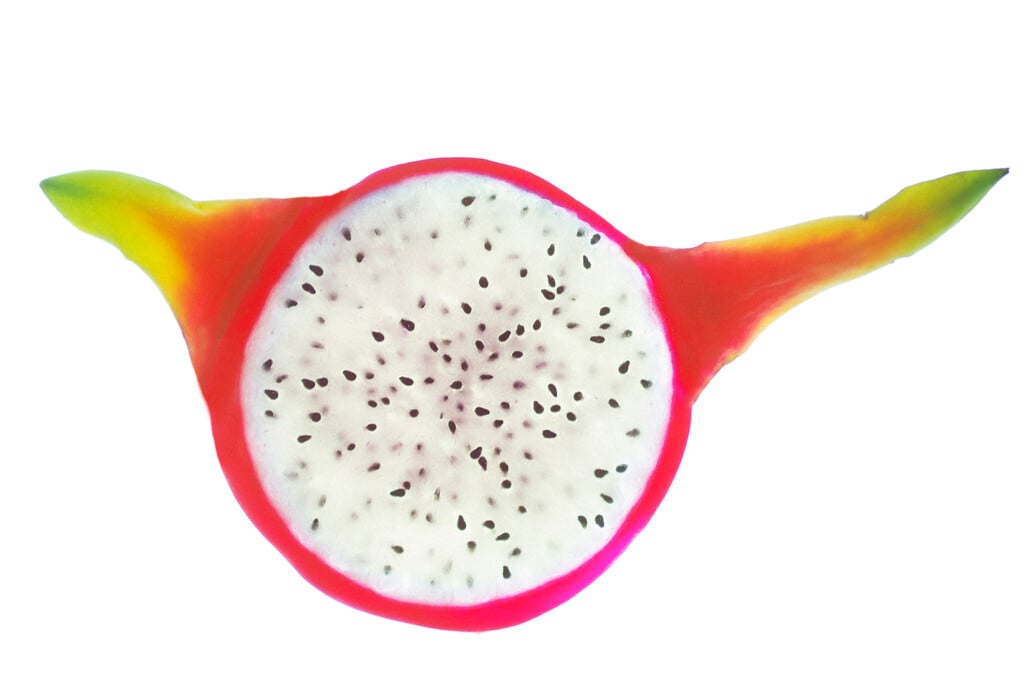 dragon fruit