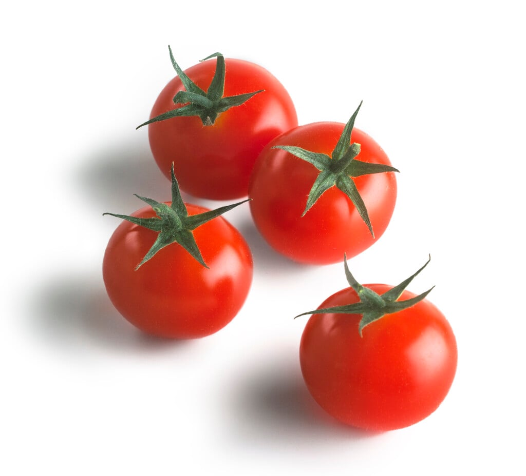 tomato (cherry) 'Gardener's Delight'