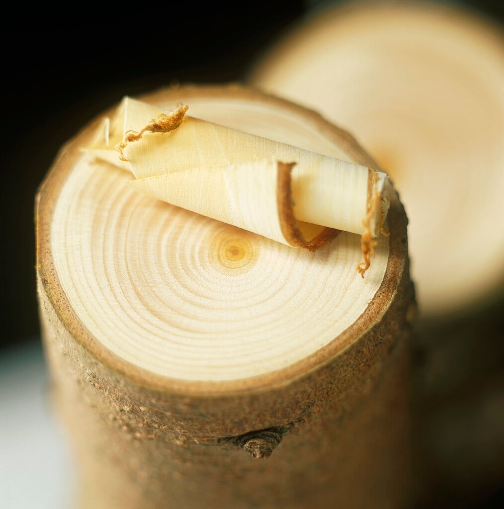 Indian sandalwood