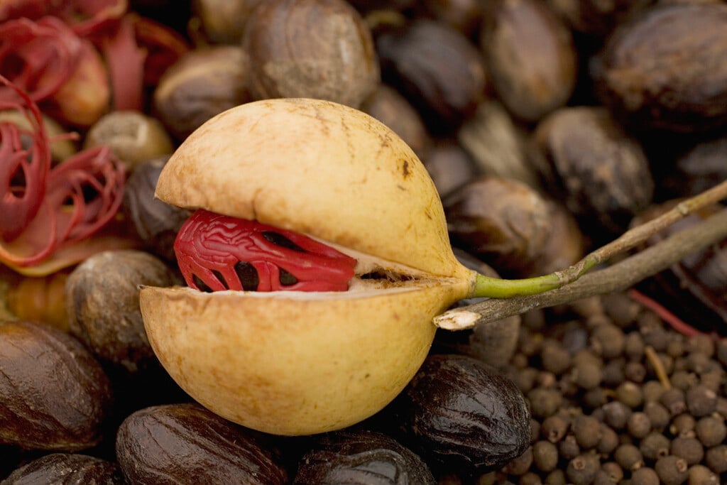 nutmeg