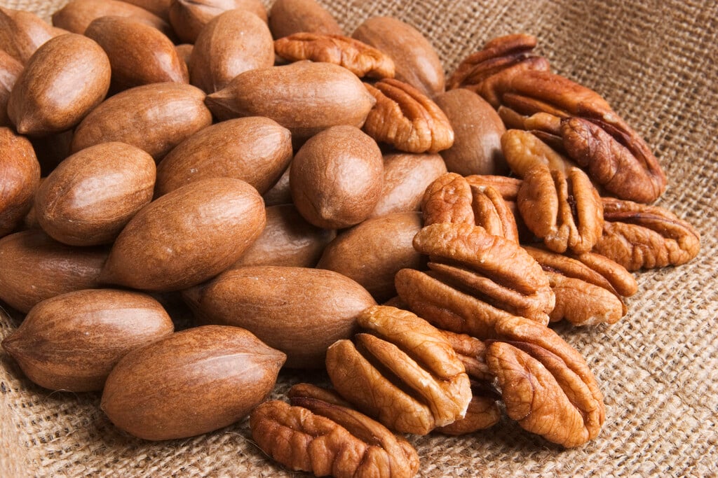 pecan