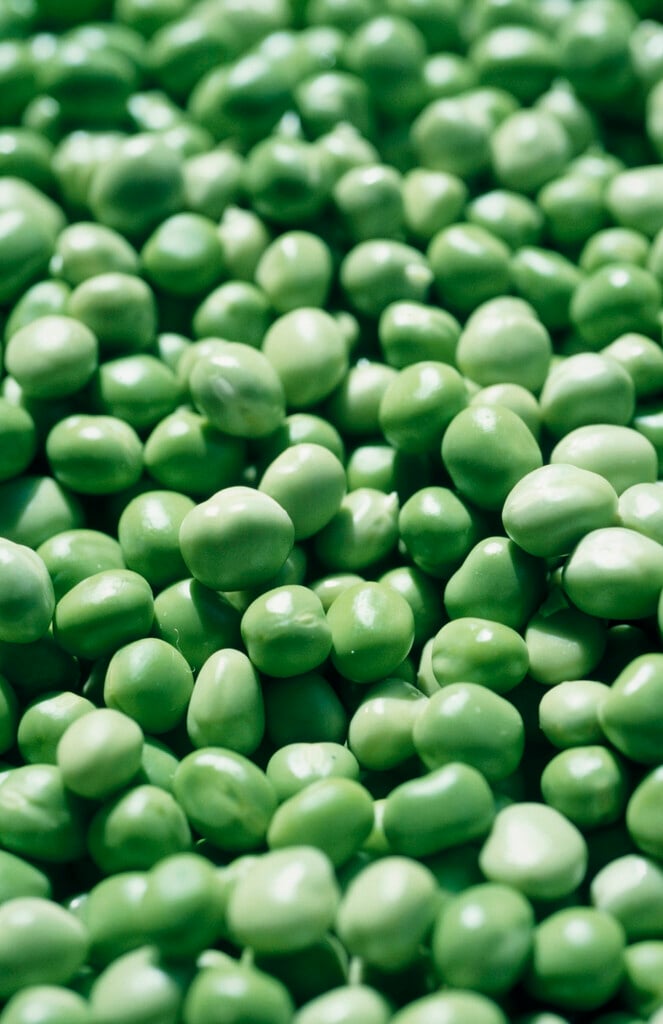 garden pea