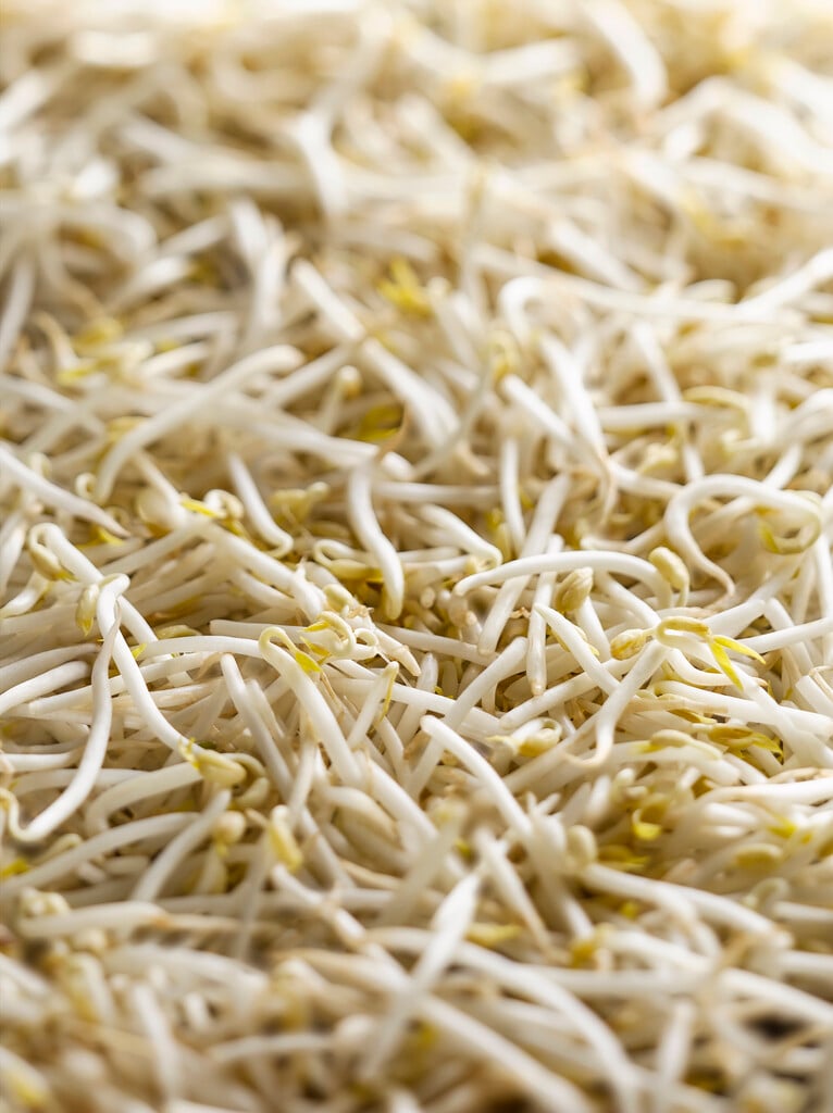 mung bean