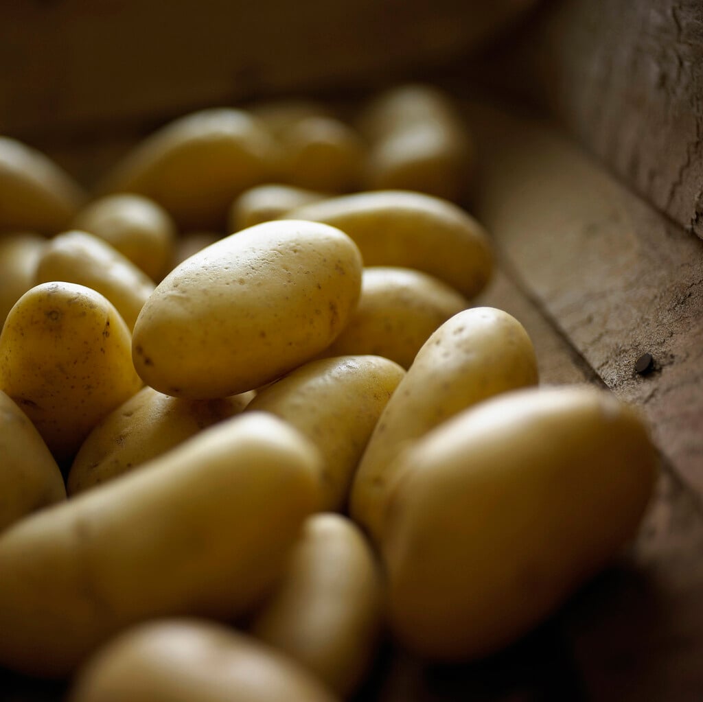 potato