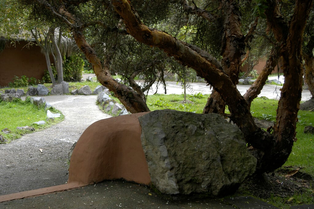 tabaquillo