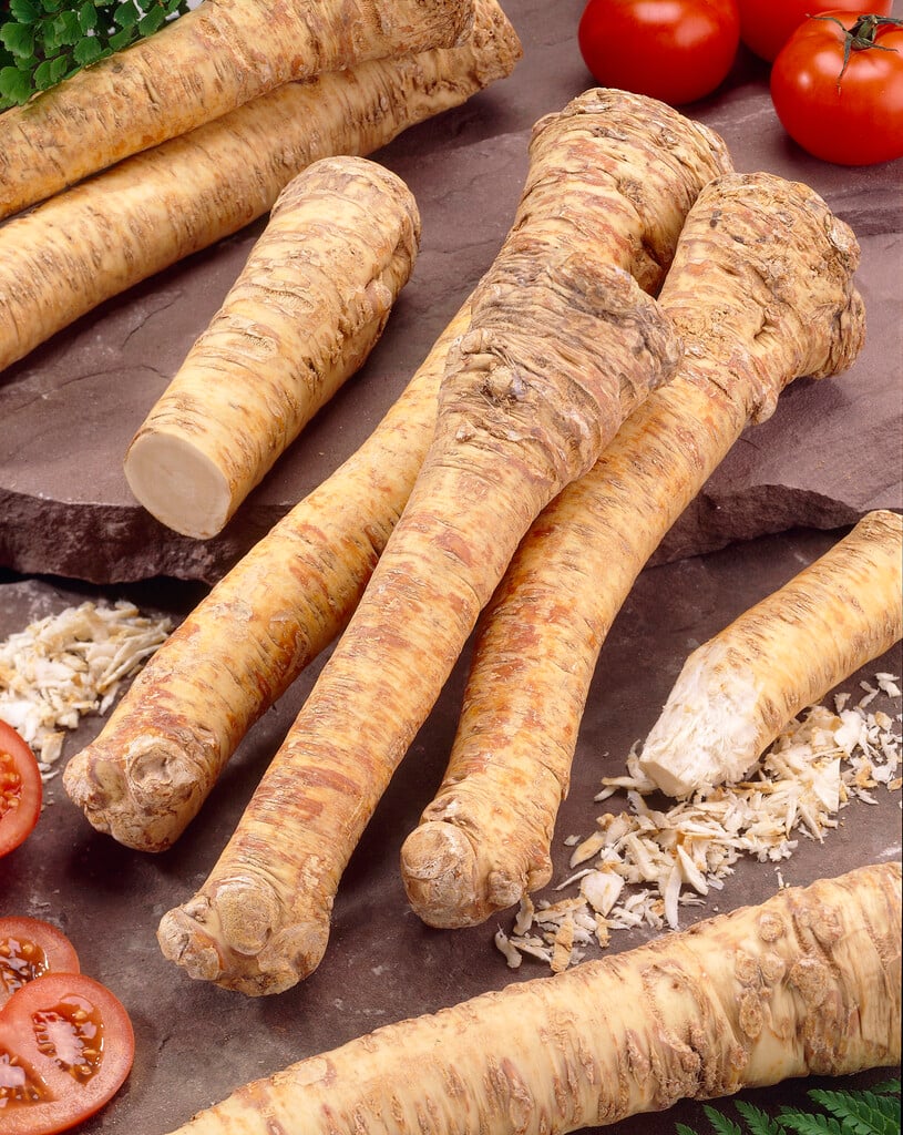 horseradish