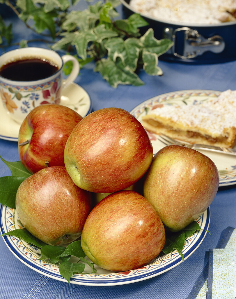 apple 'Braeburn'