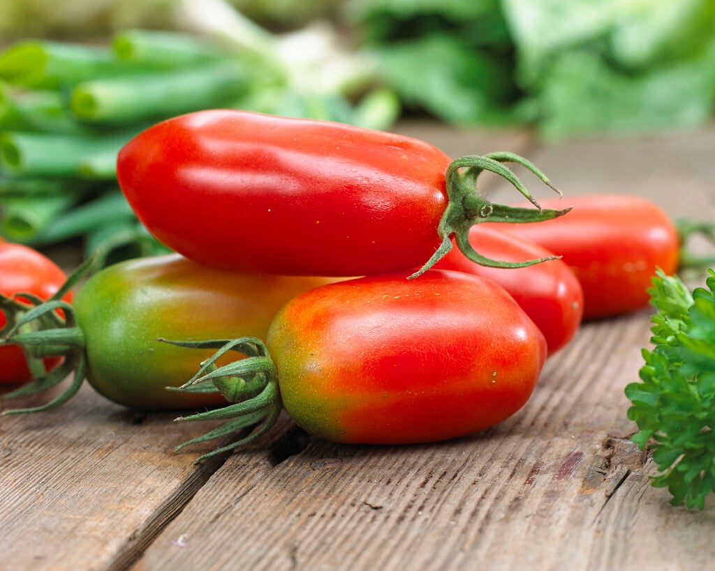 tomato 'San Marzano'