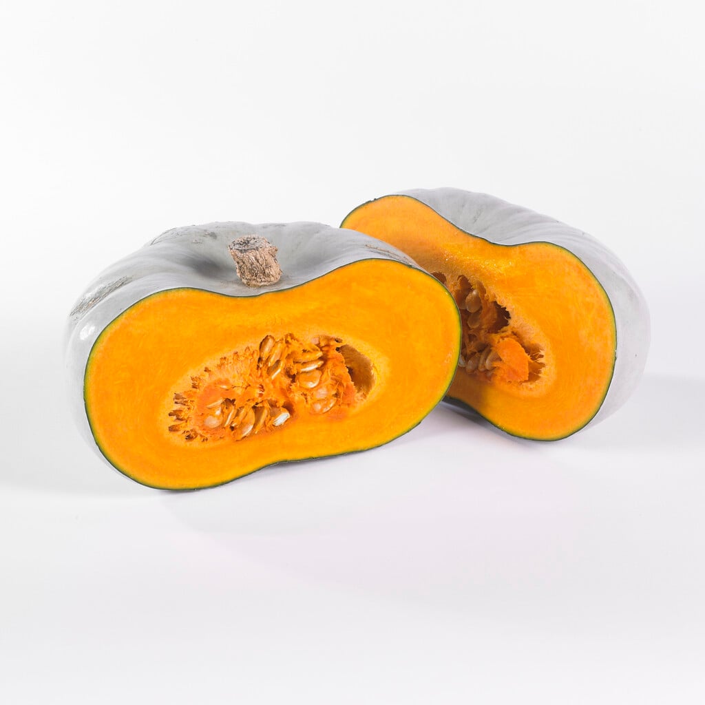 squash 'Crown Prince'