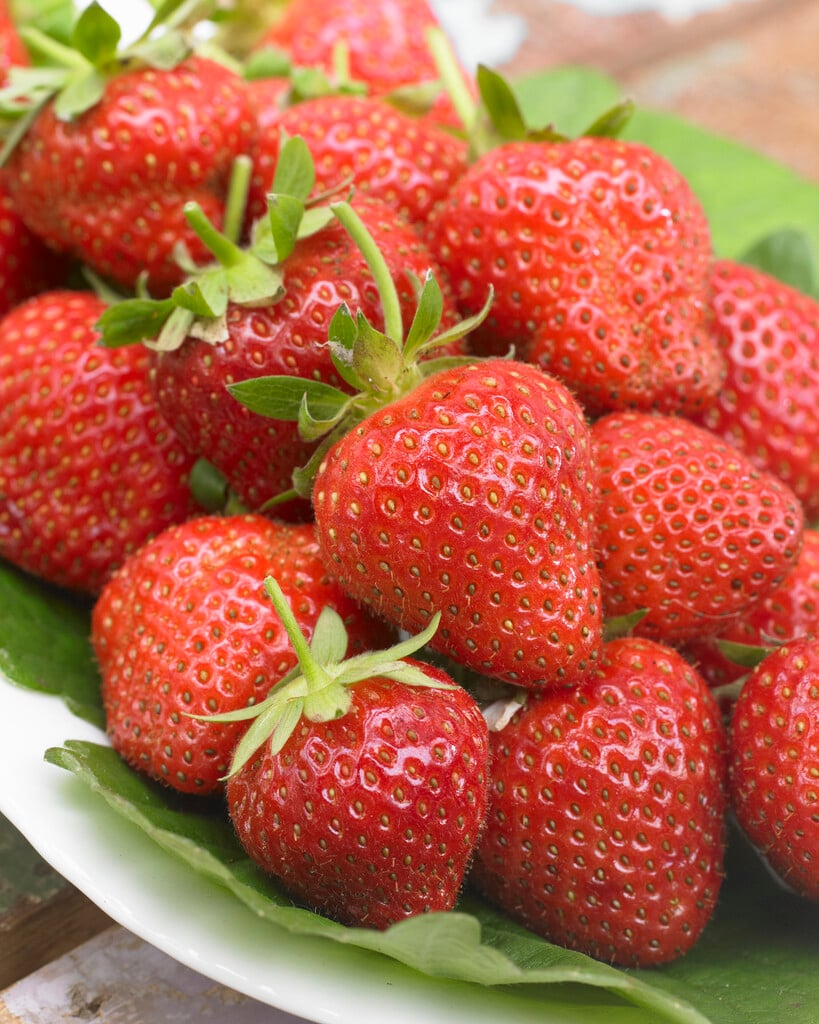 strawberry 'Elianny'
