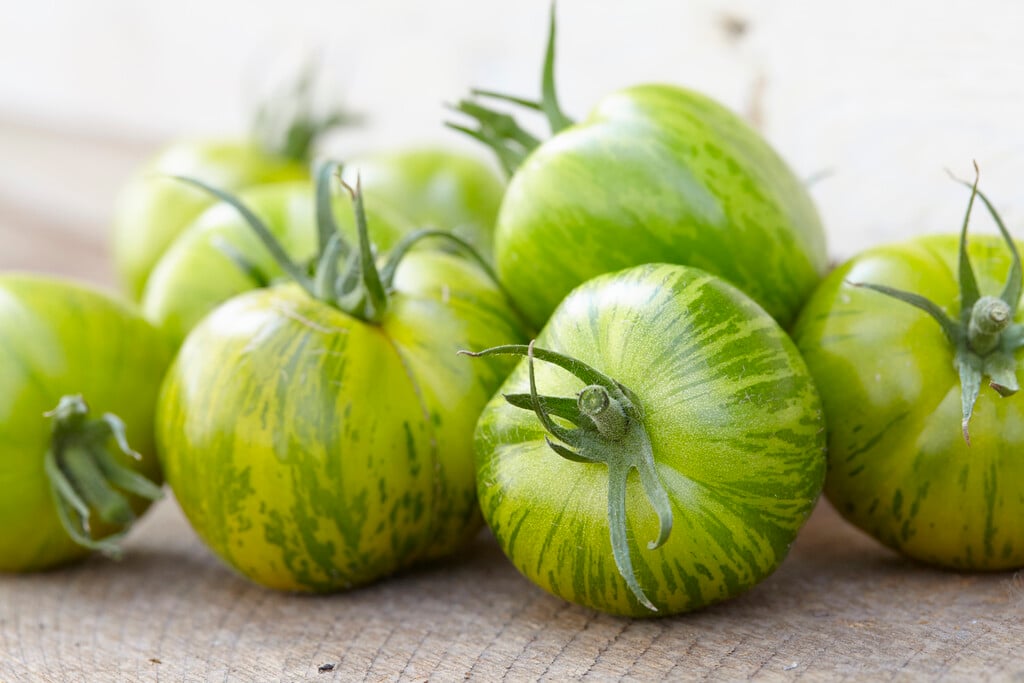 tomato 'Green Zebra'