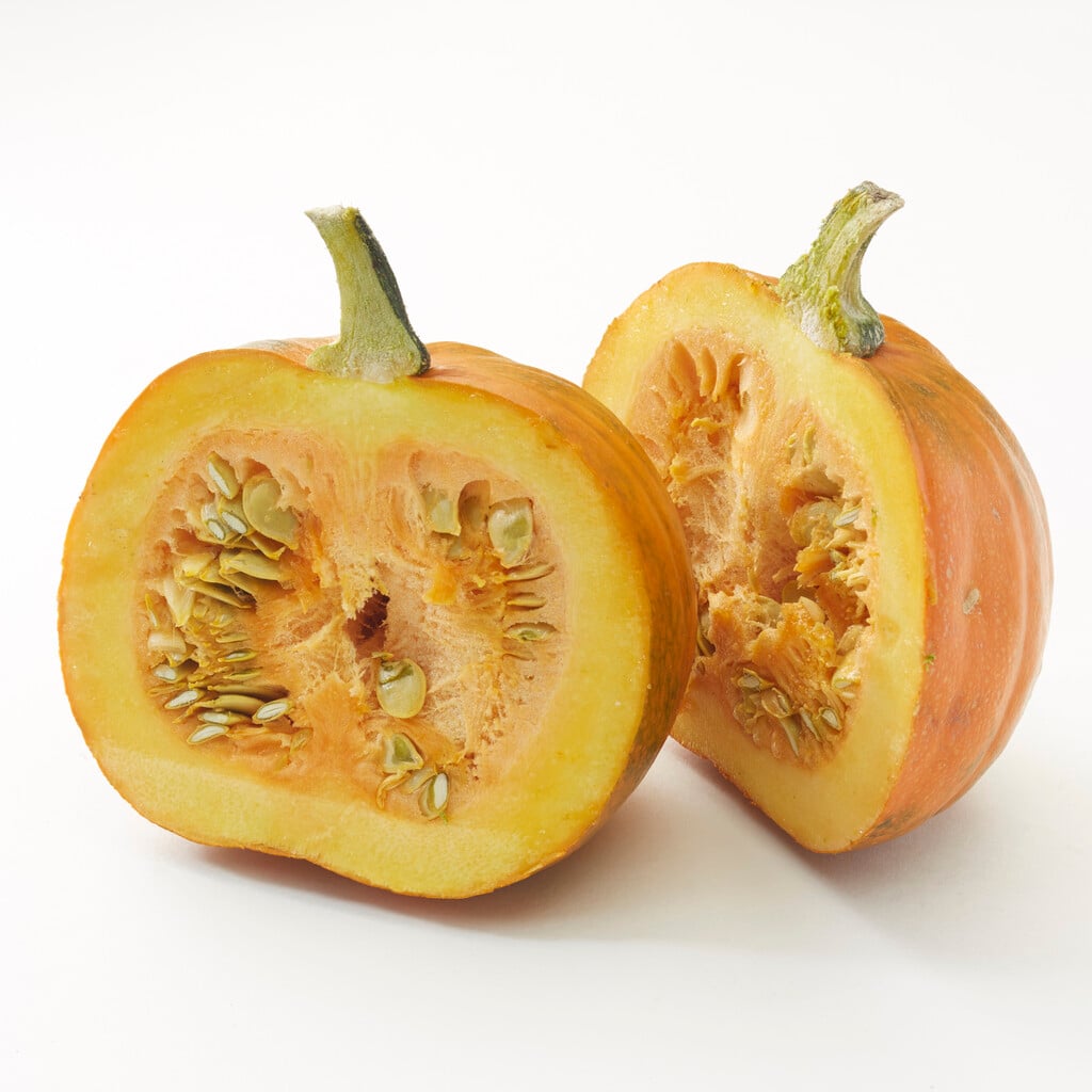 pumpkin 'Baby Bear'