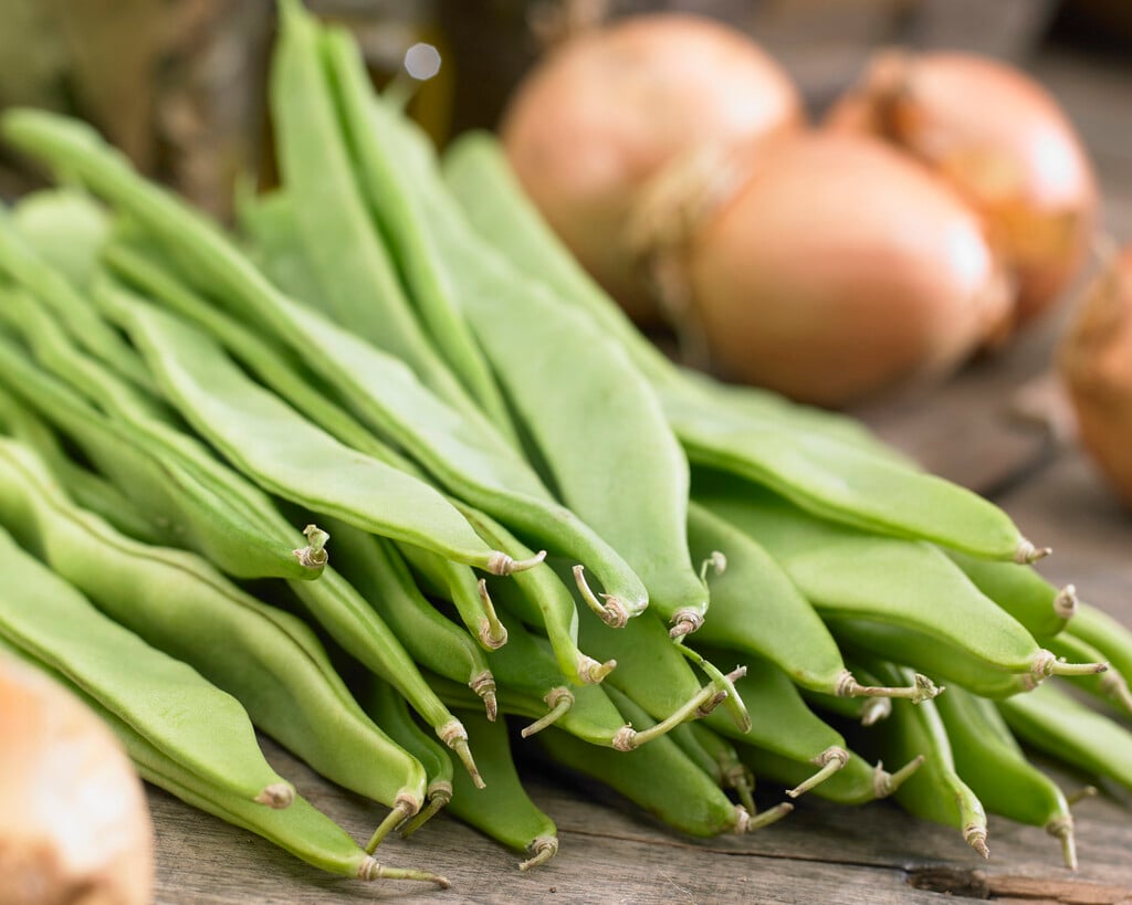 French bean