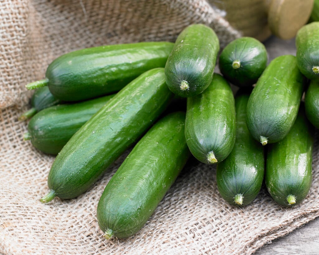 cucumber