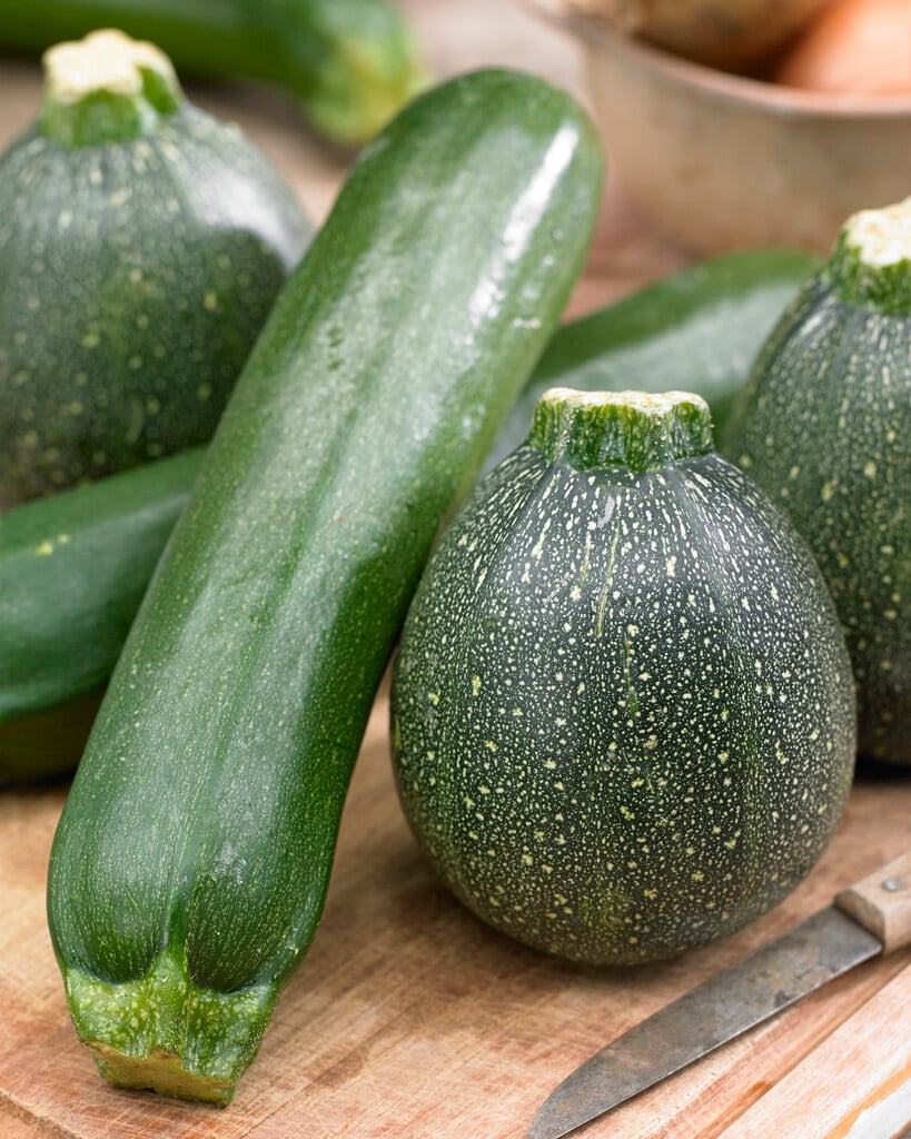 marrow