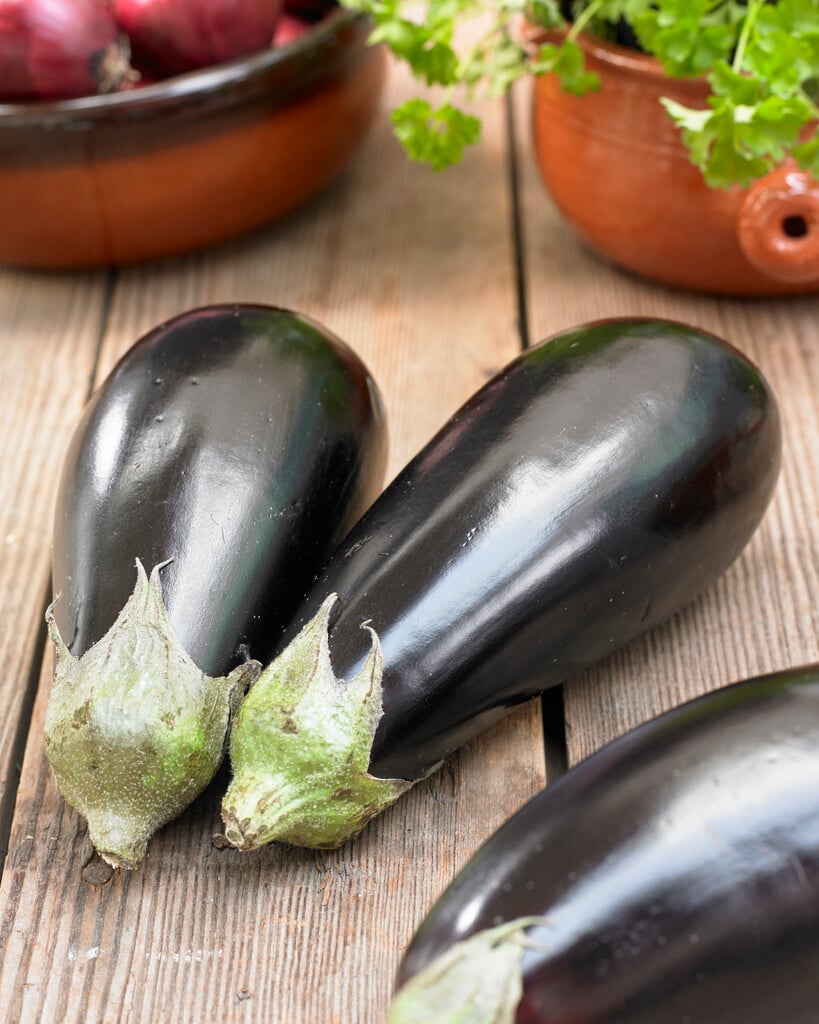 aubergine