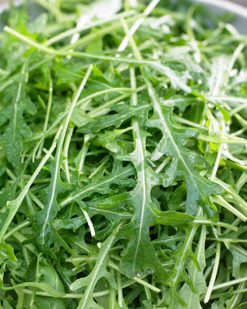 garden rocket