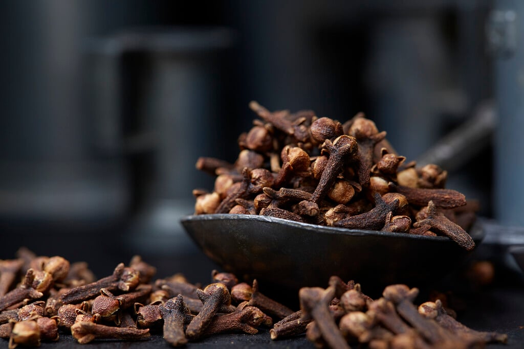 clove