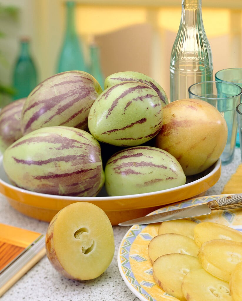 pepino