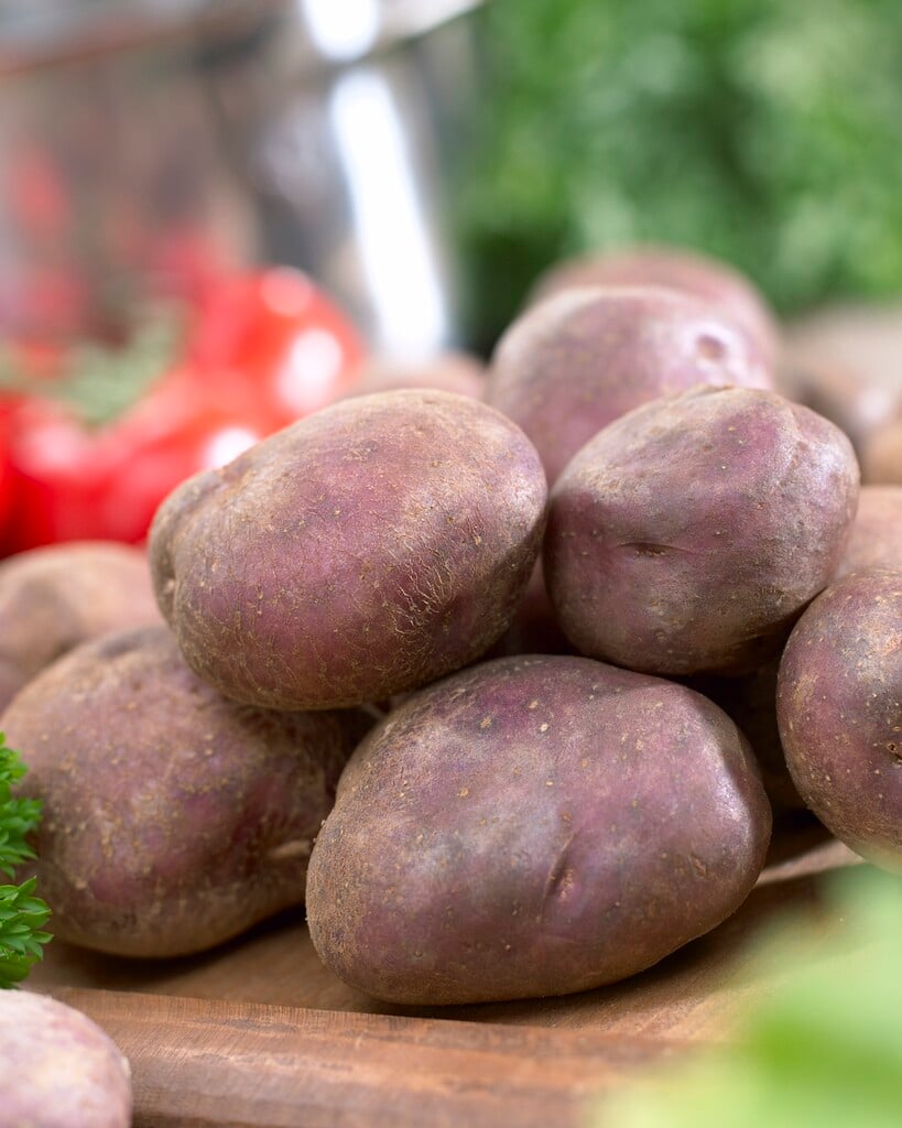 potato 'Edzell Blue'