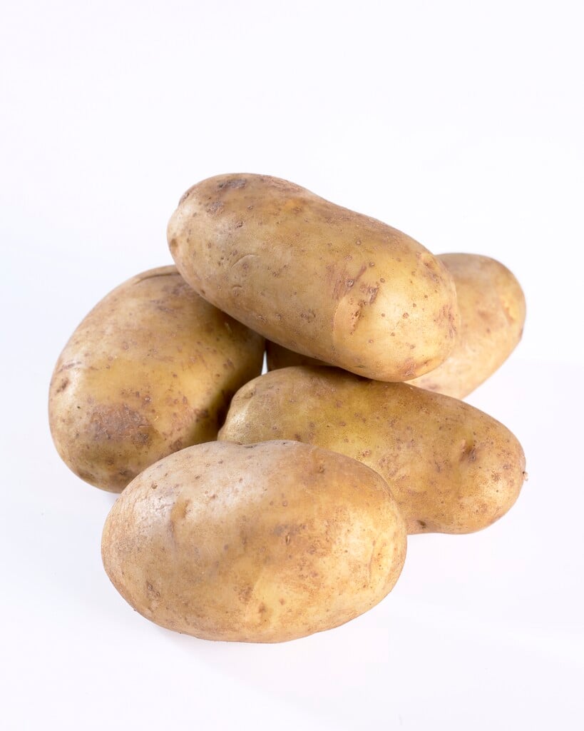 potato 'Home Guard'