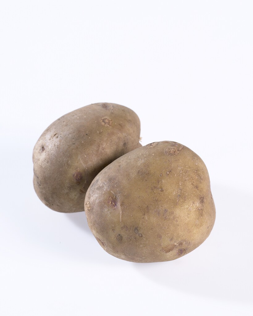 potato 'Colleen'