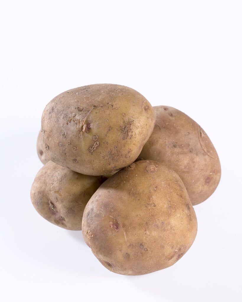 potato 'Colleen'
