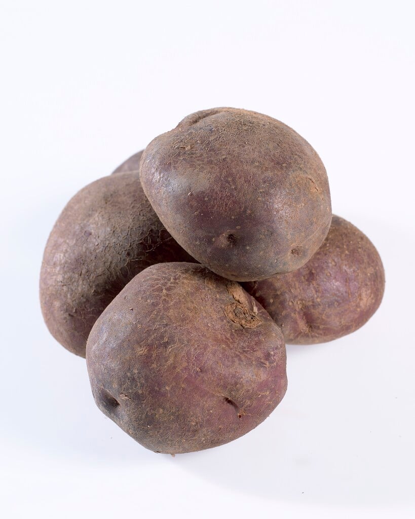 potato 'Edzell Blue'