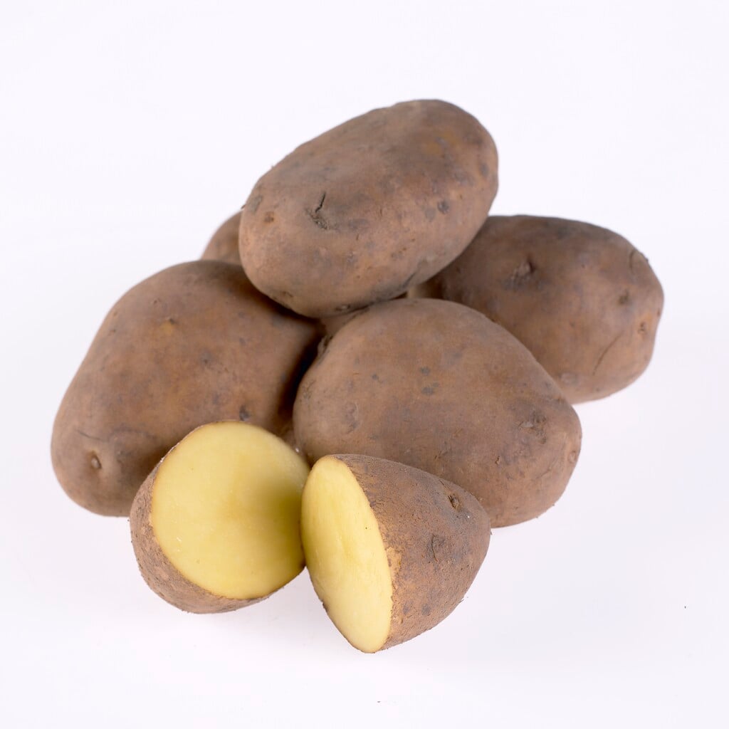 potato 'Nicola'