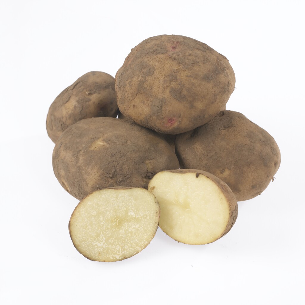 potato 'Cara'